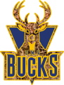 D.M.V. Bucks logo