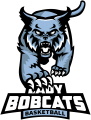 Tampa Lady Bobcats logo