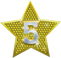 Tampa Five Star logo