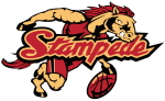 Palm Beach Stampede logo