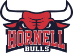 Hornell Bulls logo
