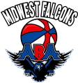 Midwest Falcons logo