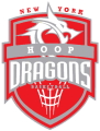 New York Hoop Dragons logo
