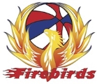Pontiac Firebirds logo