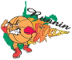 West Virginia Wild logo