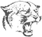 Twin Citiy Cougars logo