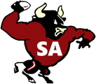 San Antonio Bulls logo