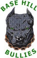 Base Hill Bullies logo
