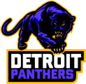 Detroit Panthers logo