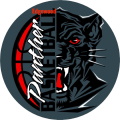 Edgewood Panthers logo