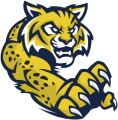 Virginia Beach Wildcats logo