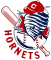 Charlotte Hornets logo