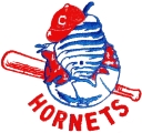 Charlotte Hornets logo