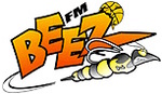 Fargo-Moorhead Beez logo