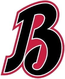 Birmingham Barons logo