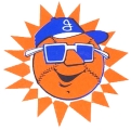 Jacksonville Suns logo
