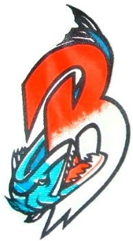 Birmingham Barracudas logo