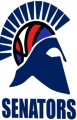 NV Senators logo
