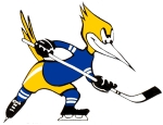 Phoenix Roadrunners logo