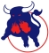 Birmingham Bulls logo