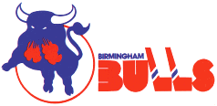 Birmingham Bulls logo