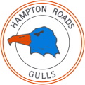 Hampton Roads Gulls logo