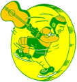 Nashville South Stars logo