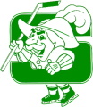 Salem Raiders logo