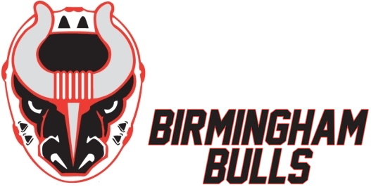 Birmingham Bulls logo