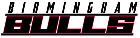 Birmingham Bulls logo