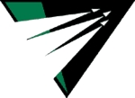 Raleigh-Durham Skyhawks logo