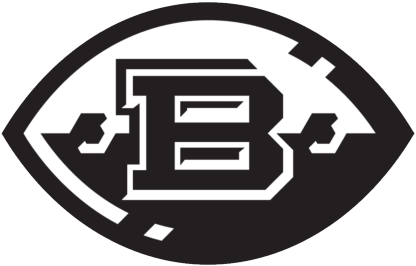 Birmingham Iron logo