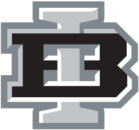 Birmingham Iron logo