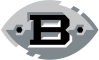 Birmingham Iron logo