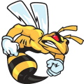 Chicago Hornets logo