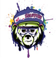 Salutche Bears logo