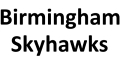 Birmingham Skyhawks logo