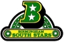 Birmingham South Stars logo