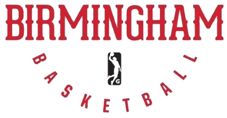 Birmingham Squadron logo