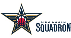 Birmingham Squadron logo