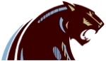 Michigan Panthers logo