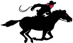Tampa Bay Bandits logo
