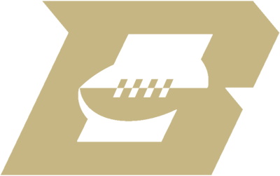 Birmingham Stallions logo