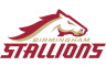 Birmingham Stallions logo