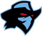 Dallas Renegades logo
