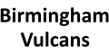 Birmingham Vulcans logo