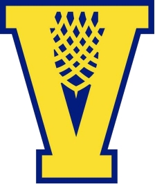 Birmingham Vulcans logo