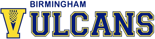 Birmingham Vulcans logo