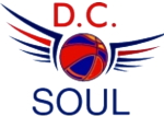 DC Soul logo