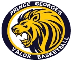 PG Valor logo